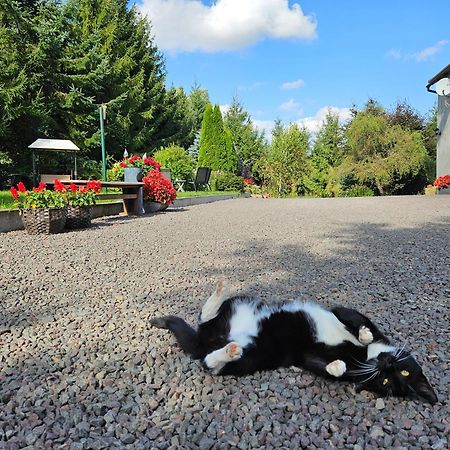 Noclegi U Przewodnikow - Zwiedzaczek Lubawka Exterior foto