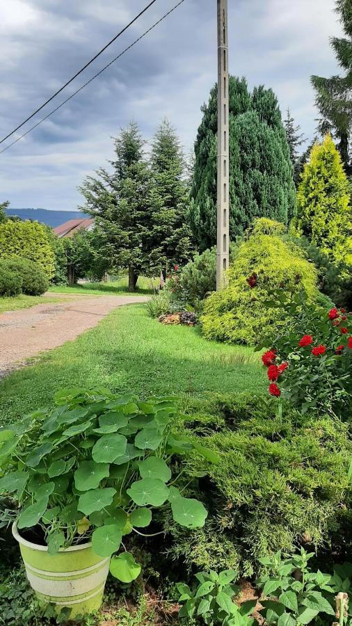 Noclegi U Przewodnikow - Zwiedzaczek Lubawka Exterior foto